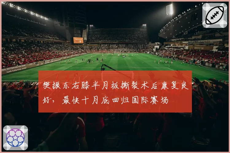 樊振东右膝半月板撕裂术后康复良好,最快十月底回归国际赛场